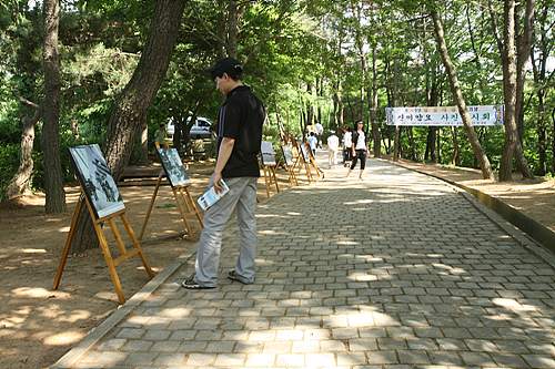 신미양요 사진전이 재례식 주변에서 열렸다. 이 사진전을 감상하고 있는 관광객들 